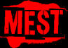 mest.jpg