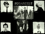 sugarcult.jpg